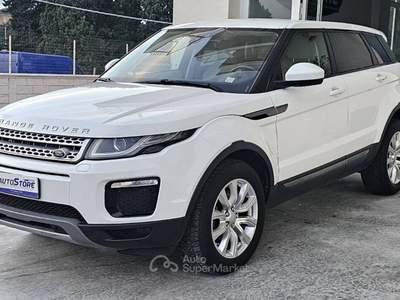 Land Rover Range Rover Evoque 2.0 td4 SE Business edition 150cv 5p auto my19 Bianco usata Vittoria