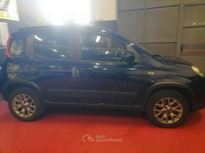 Fiat Panda 4X4 Blu/Azzurro usata Cinisello Balsamo