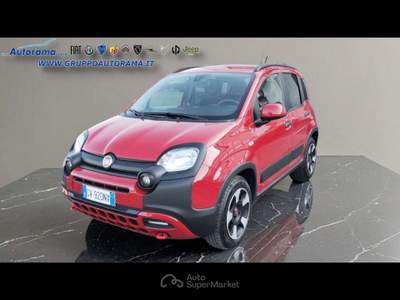 Fiat Panda  -  1.0 firefly s&s hybrid Rosso usata Modena