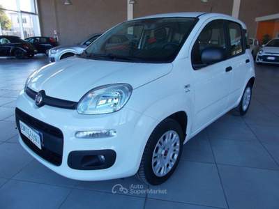 Fiat Panda 1.2 EasyPower Easy Bianco usata Terni