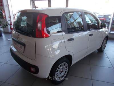 Fiat Panda 1.2 EasyPower Easy Bianco usata Terni