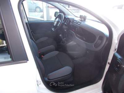 Fiat Panda 1.2 EasyPower Easy Bianco usata Terni
