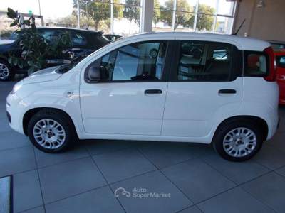 Fiat Panda 1.2 EasyPower Easy Bianco usata Terni