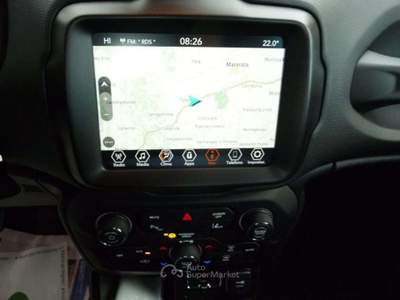 Jeep Renegade 1.6 Mjt 130 CV Business Argento usata Tolentino