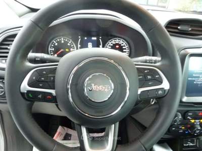 Jeep Renegade 1.6 Mjt 130 CV Business Argento usata Tolentino
