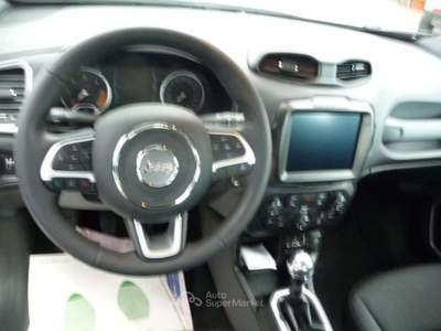 Jeep Renegade 1.6 Mjt 130 CV Business Argento usata Tolentino