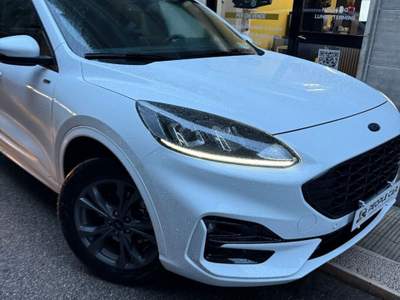 Ford Kuga Kuga 2.5 Plug In Hybrid 225 CV CVT 2WD ST-Line FULL Bianco usata Bari