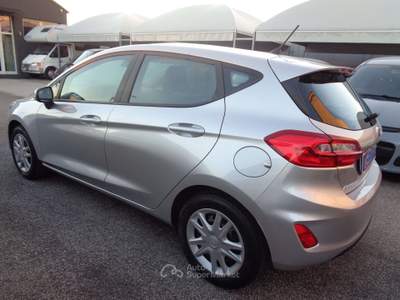 Ford Fiesta Fiesta VII  5p  1.1 Plus 70cv Argento usata MANTOVA