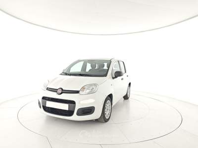 Fiat Panda 1.0 FireFly S&S Hybrid Bianco usata Capua