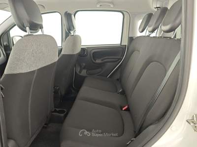 Fiat Panda 1.0 FireFly S&S Hybrid Bianco usata Capua