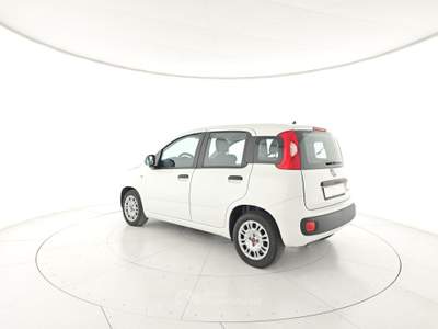 Fiat Panda 1.0 FireFly S&S Hybrid Bianco usata Capua