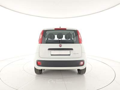 Fiat Panda 1.0 FireFly S&S Hybrid Bianco usata Capua