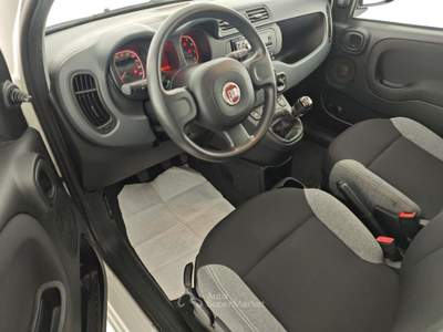 Fiat Panda 1.0 FireFly S&S Hybrid Bianco usata Capua