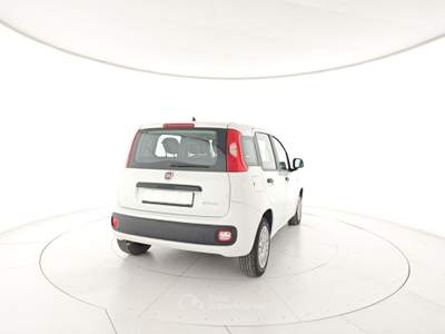 Fiat Panda 1.0 FireFly S&S Hybrid Bianco usata Capua