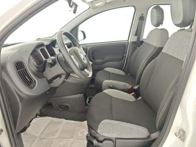 Fiat Panda 1.0 FireFly S&S Hybrid Bianco usata Capua