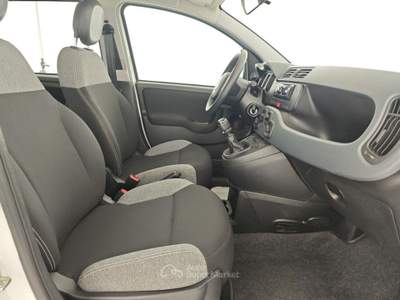 Fiat Panda 1.0 FireFly S&S Hybrid Bianco usata Capua