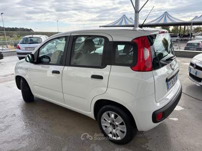 Fiat Panda 95 CV S&S Easy Bianco usata ALTAMURA