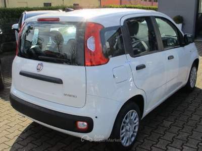 Fiat Panda (NOLEGGIO con o senza ANTICIPO Bianco usata Moncalieri