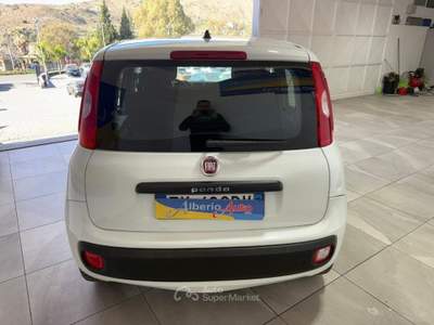 Fiat Panda 1.2 EASY Bianco usata ADRANO