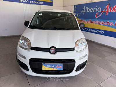 Fiat Panda 1.2 EASY Bianco usata ADRANO