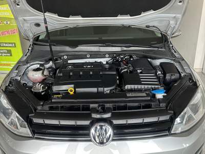 Volkswagen Golf Volkswagen Golf Tdi Grigio usata CORIGLIANO-ROSSANO