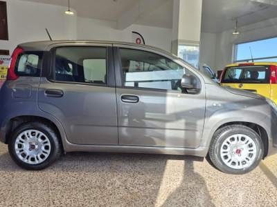 Fiat Panda 1.0 FireFly S&S Hybrid Grigio usata Brolo