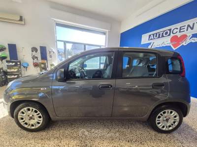 Fiat Panda 1.0 FireFly S&S Hybrid Grigio usata Brolo