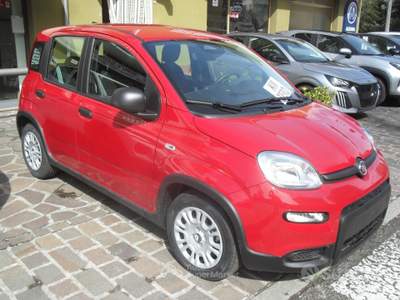 Fiat Panda FireFly S&S Hybrid City Life usata Sorbolo Mezzani