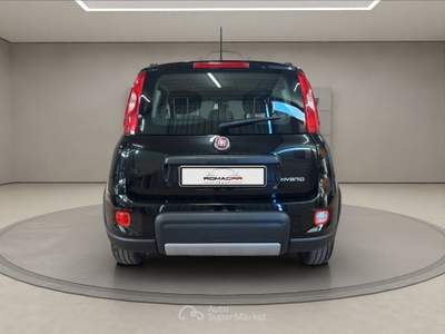 Fiat Panda Panda 1.0 firefly s&s hybrid city life Nero usata Roma