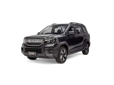 SWM G03F  -  1.5 phev Grigio usata Salerno