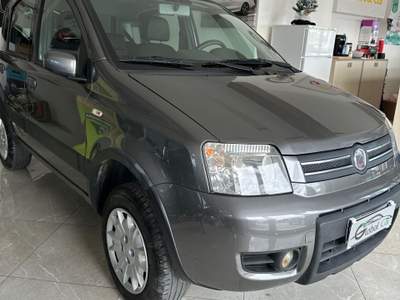 Fiat Panda Fiat Panda 4x4 Grigio usata CORIGLIANO-ROSSANO