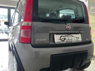Fiat Panda Fiat Panda 4x4 Grigio usata CORIGLIANO-ROSSANO