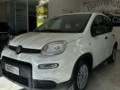 Fiat Panda Fiat Panda Hybrid Bianco usata CORIGLIANO-ROSSANO