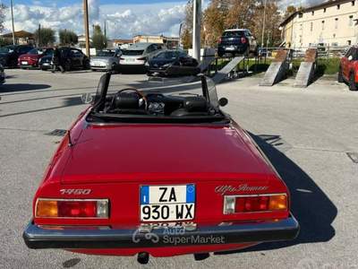 Alfa Romeo Spider spider 1750 anno 1970 Rosso usata Massarosa