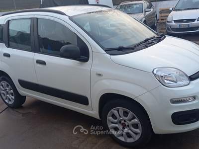 Fiat Panda BENZINA METANO SOLO PER COMMERCIANTE. Bianco usata Santa Giuletta