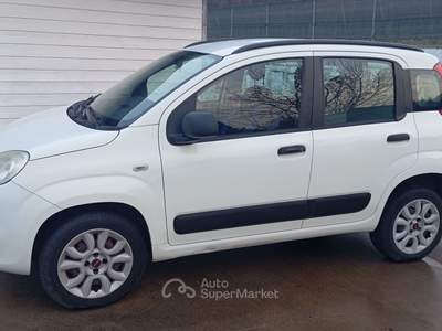Fiat Panda BENZINA METANO SOLO PER COMMERCIANTE. Bianco usata Santa Giuletta