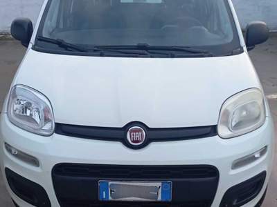 Fiat Panda BENZINA METANO SOLO PER COMMERCIANTE. Bianco usata Santa Giuletta