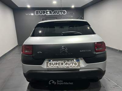 Citroen C4 Cactus BlueHDi 100 Shine Argento usata Atena lucana