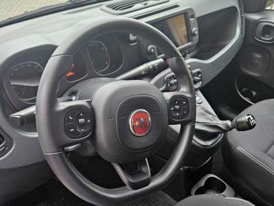 Fiat Panda Panda Cross 1.0 FireFly SeS Hybrid (51 kw) usata Cavaglià