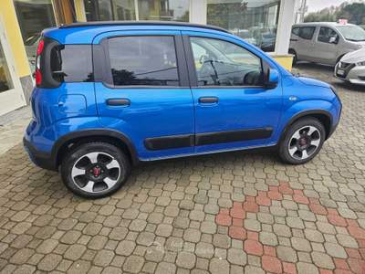 Fiat Panda Panda Cross 1.0 FireFly SeS Hybrid (51 kw) usata Cavaglià
