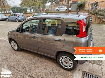 Fiat Panda Panda 1.0 FireFly S&S Hybrid Grigio usata Perugia