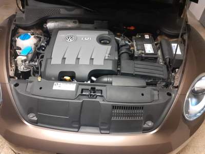 Volkswagen Maggiolino Volkswagen maggiolino 1.6 Designo tettuccio Marrone usata Lucera