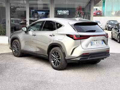 Lexus NX 350h 2.5 Premium 4WD 244CV E-CVT - 2022 Grigio usata Roma