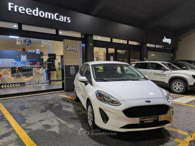 Ford Fiesta 1.1 75 CV GPL 5 porte Plus Bianco usata Parma