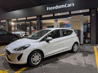 Ford Fiesta 1.1 75 CV GPL 5 porte Plus Bianco usata Parma