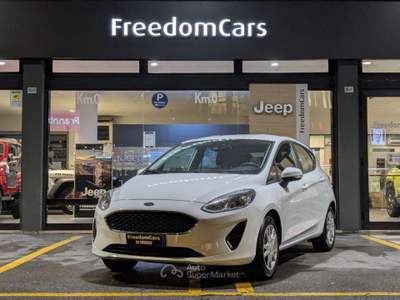 Ford Fiesta 1.1 75 CV GPL 5 porte Plus Bianco usata Parma