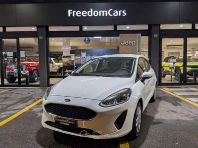 Ford Fiesta 1.1 75 CV GPL 5 porte Plus Bianco usata Parma