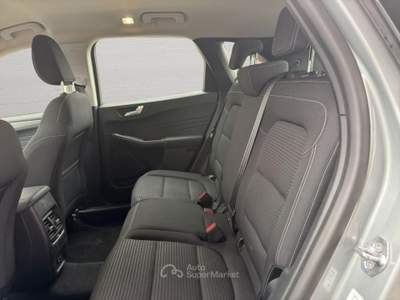 Ford Kuga 2.0 EcoBlue Hybrid 150 CV 2WD Titanium Business Grigio usata Imola