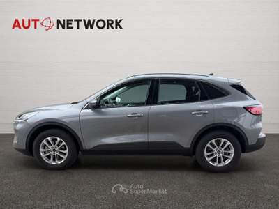 Ford Kuga 2.0 EcoBlue Hybrid 150 CV 2WD Titanium Business Grigio usata Imola