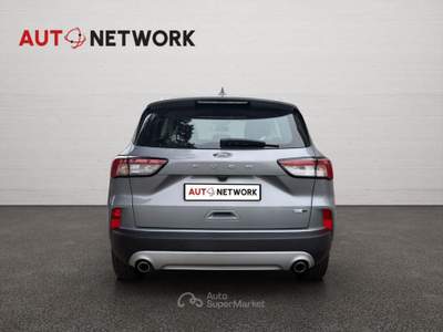 Ford Kuga 2.0 EcoBlue Hybrid 150 CV 2WD Titanium Business Grigio usata Imola